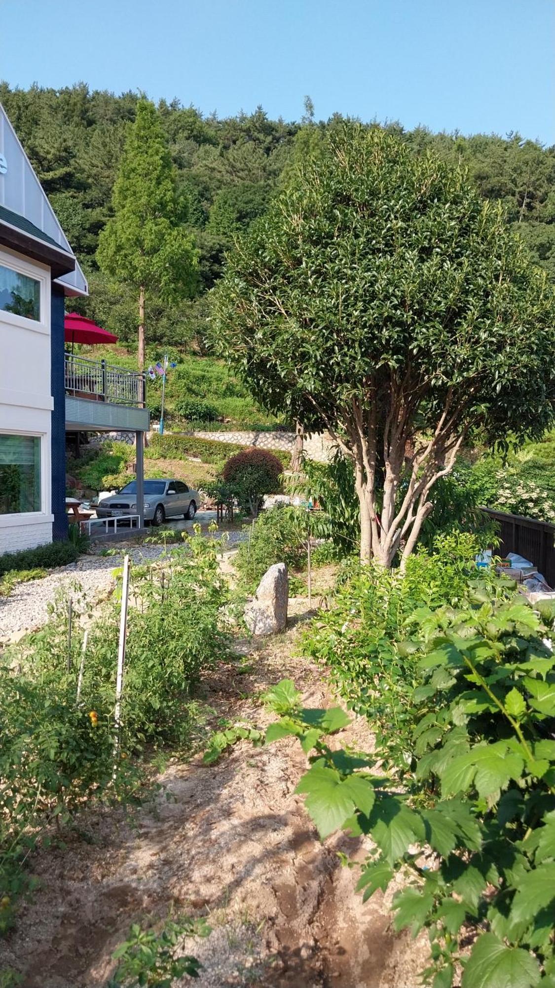 Hotel White House Namhae Exterior foto