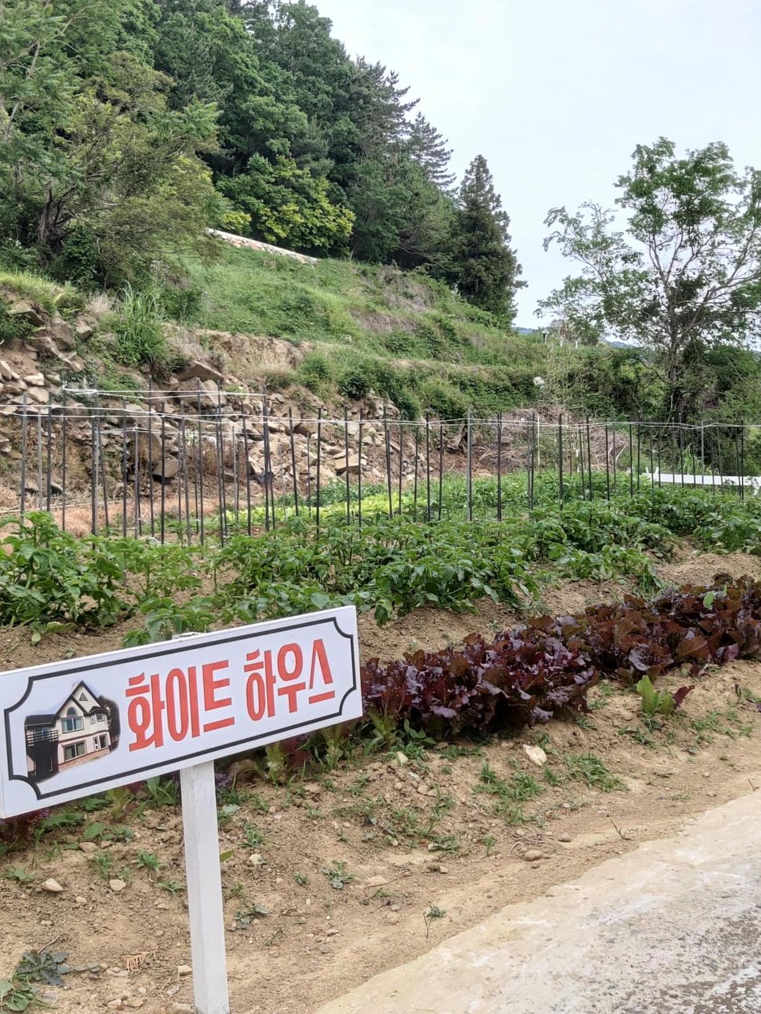 Hotel White House Namhae Exterior foto