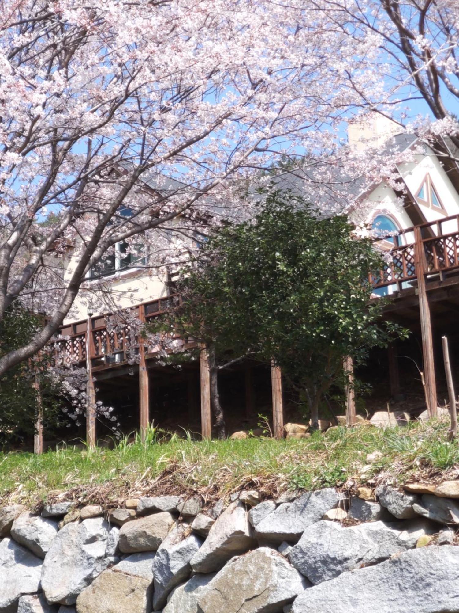 Hotel White House Namhae Exterior foto